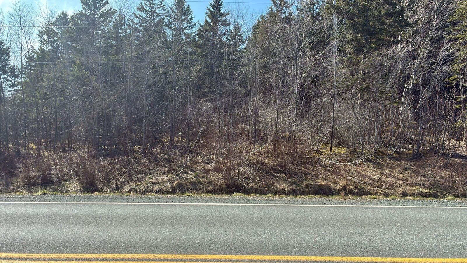 Property Photo:  Highway#7  NS B2G 2L3 