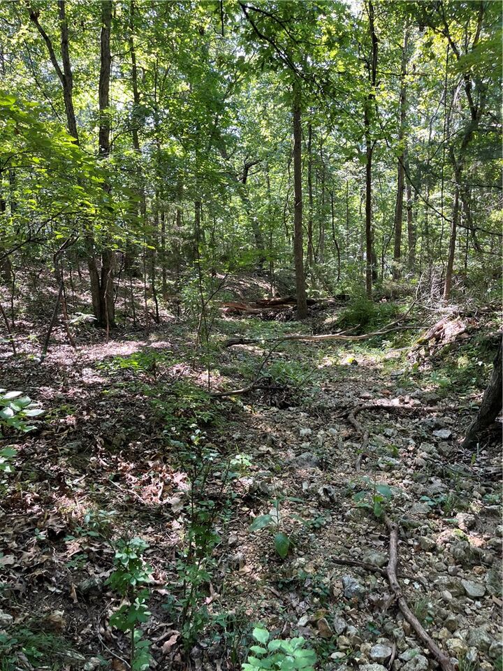 Property Photo:  Lots 23,24,&25 Sycamore Tree Lane  AR 72642 