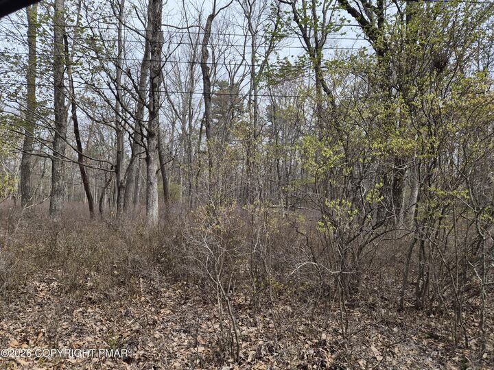 Property Photo:  Lot 20 Big Oak Road  PA 18325 