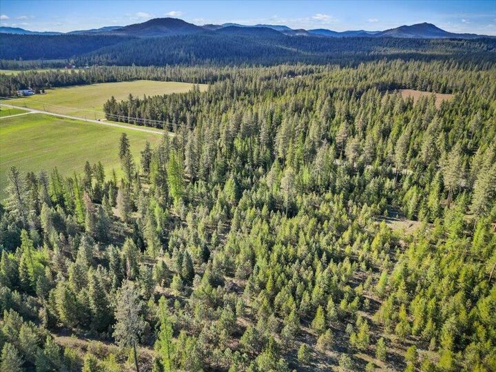 Property Photo:  Xxxx Springdale Hunters Rd  WA 99173 