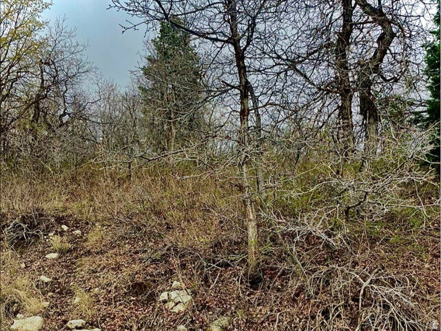 Property Photo:  712 N Wolf Hollow W 712  UT 84647 
