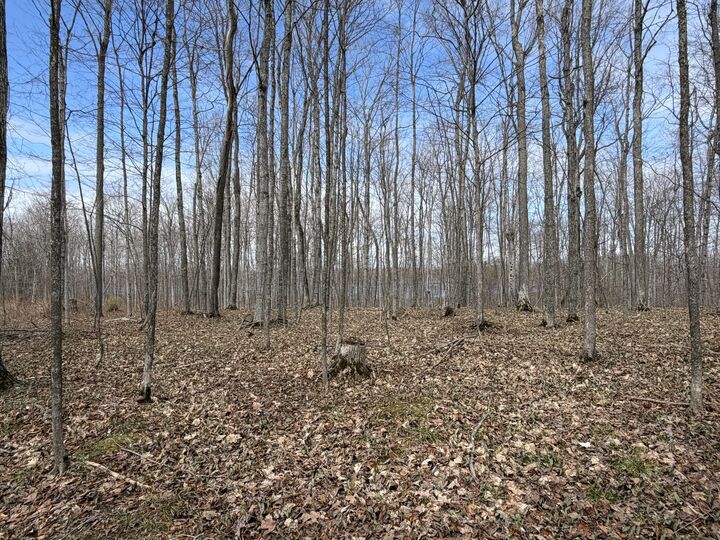 Property Photo:  Lots 14-15 Sugar Ridge Lane  MI 49718 