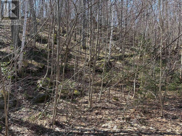 Property Photo:  0 Hamilton Lake Road  ON P0A 1X0 