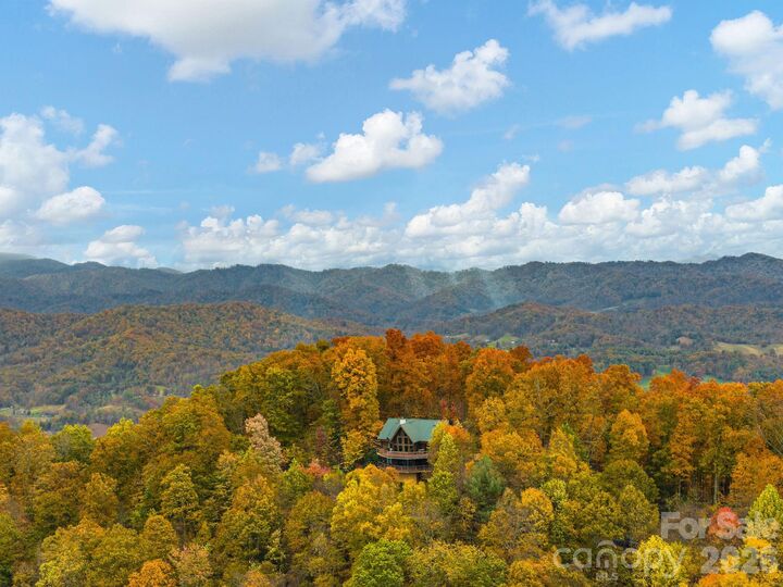 Property Photo:  1036 Forces Of Nature Trail  NC 28754 