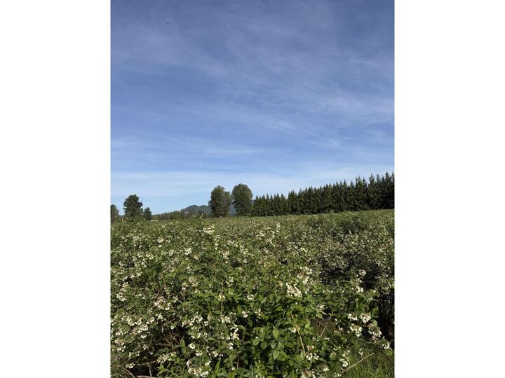 Property Photo:  8573 South River Road South  BC V0M 1H0 
