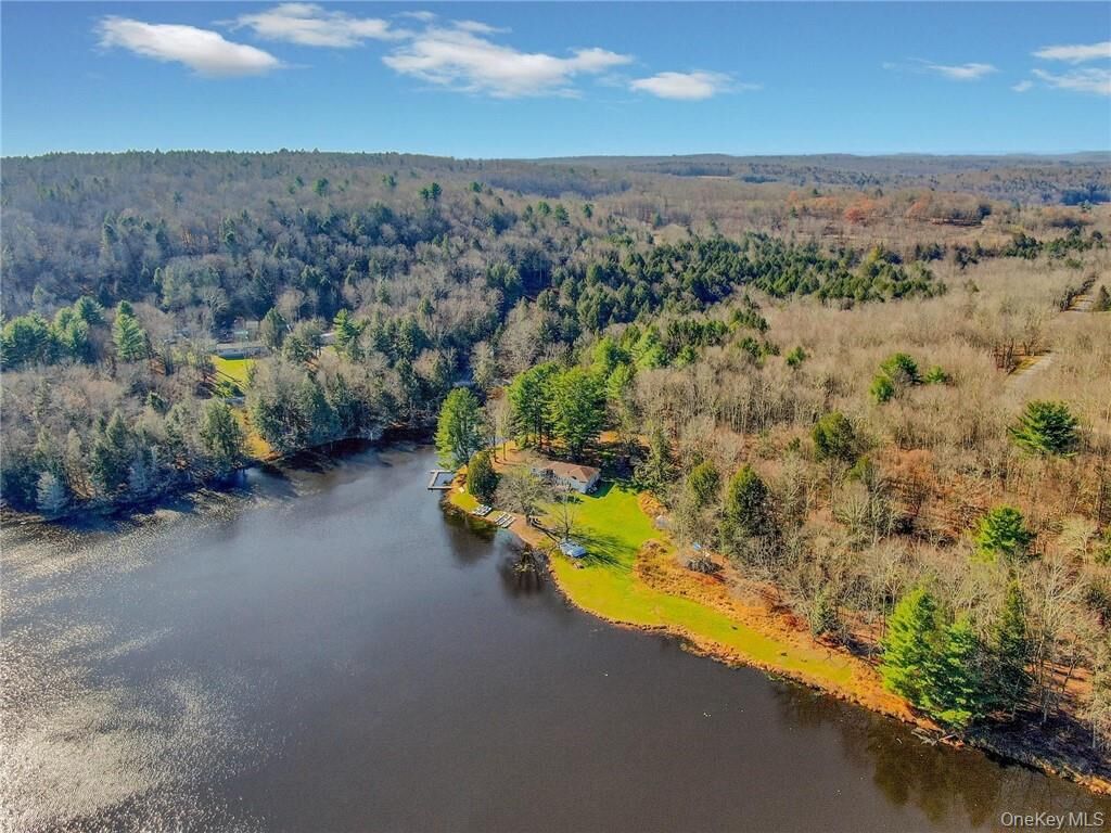 Property Photo:  122 Jaketown Road  NY 12783 