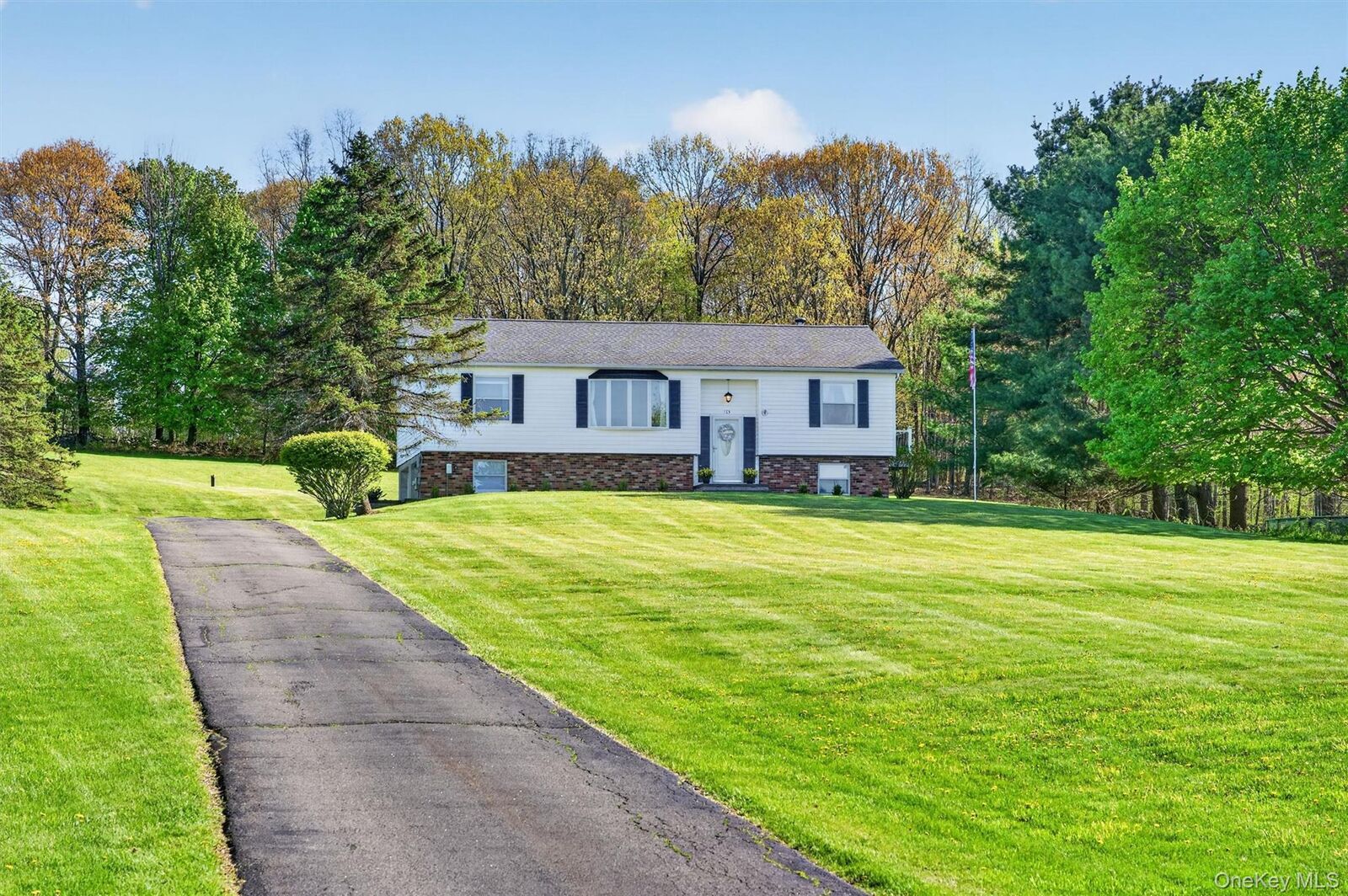 Property Photo:  513 Mullock Road  NY 12771 