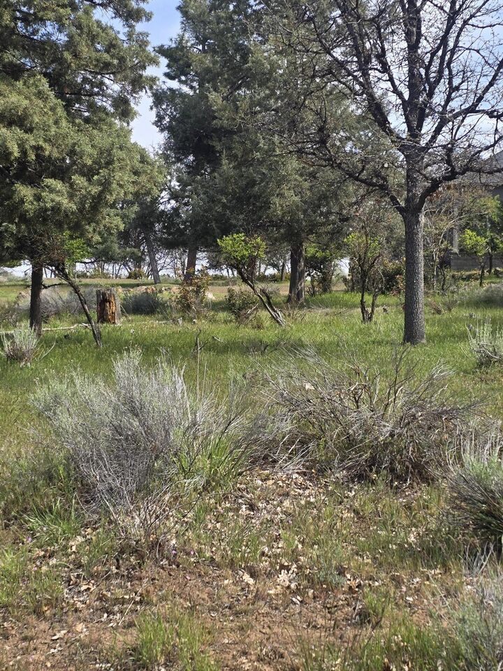Property Photo:  Kestrel Road 12  OR 97601 