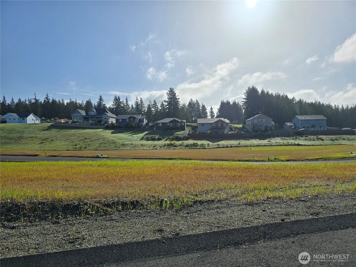 Property Photo:  111 E Donbob Lane  WA 98524 