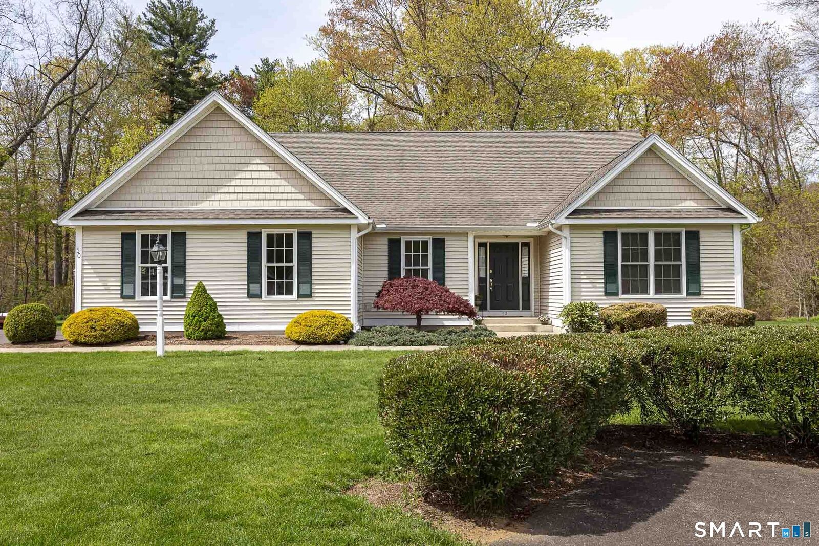 Property Photo:  50 Summerwood Lane 50  CT 06074 