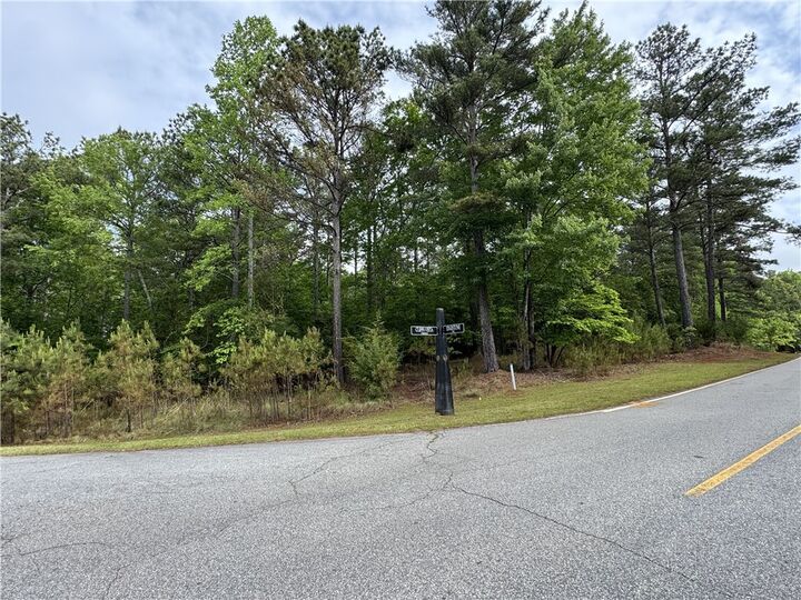 Property Photo:  Lot 16 Cliffs Vista Parkway  SC 29682 