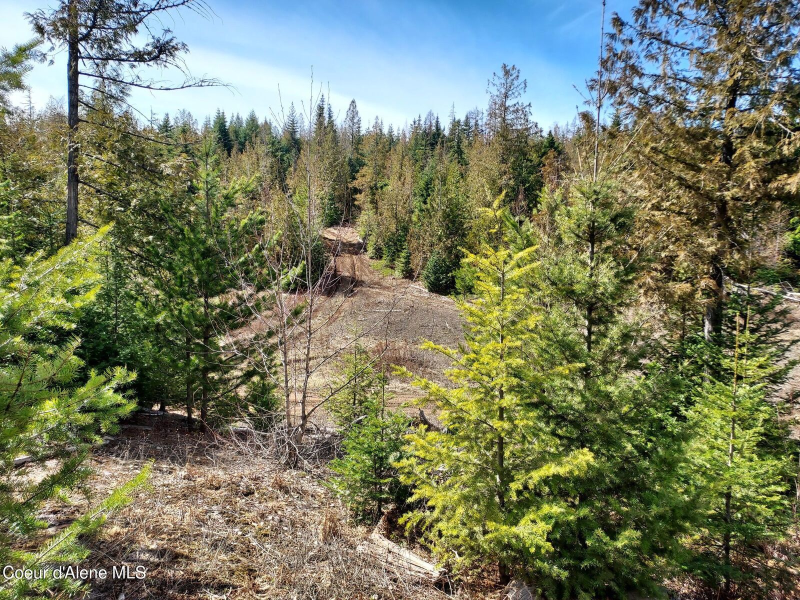 Property Photo:  2244 N Whittum Rd  ID 83856 