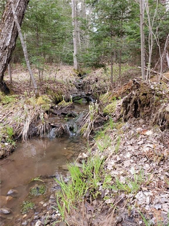 Lot 2 Thompson Road — photo 1