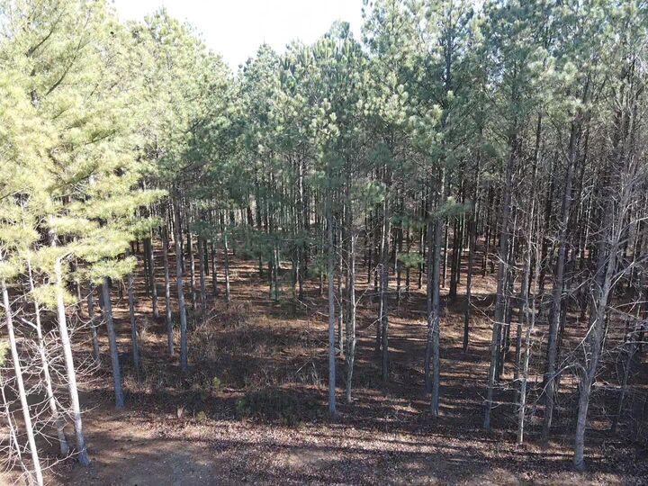 Property Photo:  80 High Point Lane  TN 37347 
