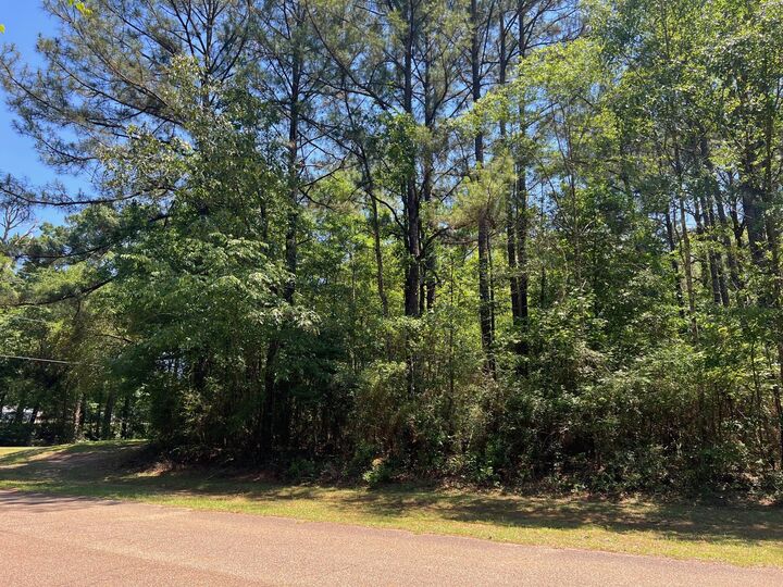 Property Photo: Lot 5-B Angler'S Point MS 39455
