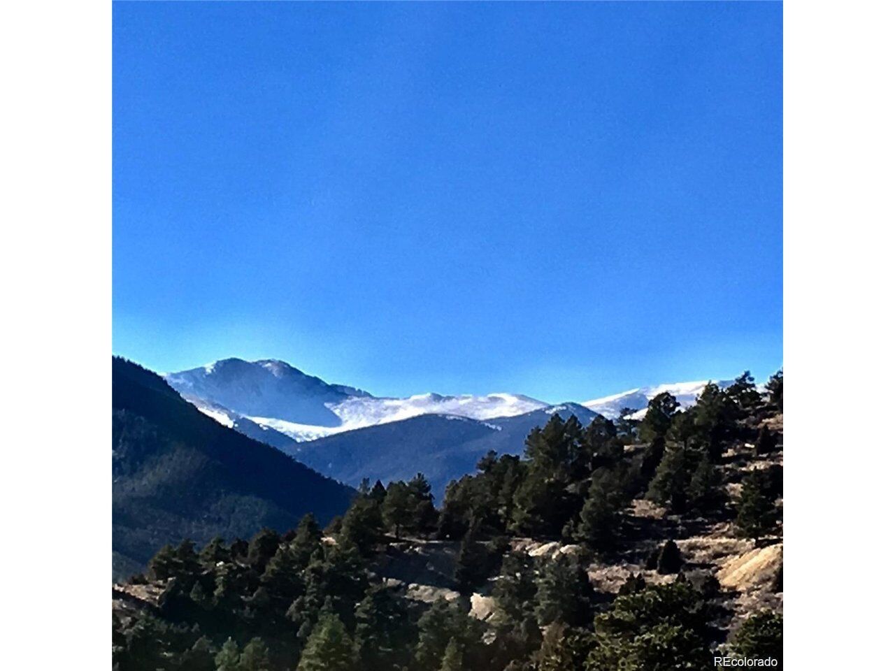 Property Photo: Wild Wagoner Tr CO 80452
