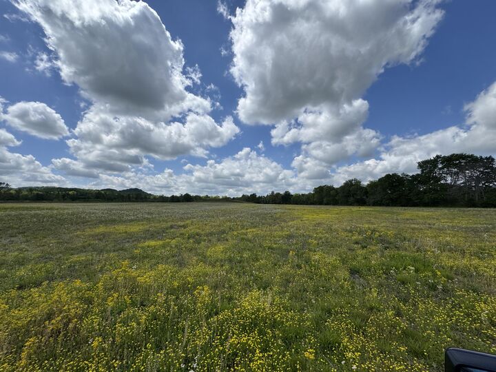 Property Photo:  1064 Kentucky 39  KY 40419 