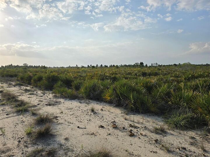 Property Photo:  49173 Bermont Road  FL 33982 
