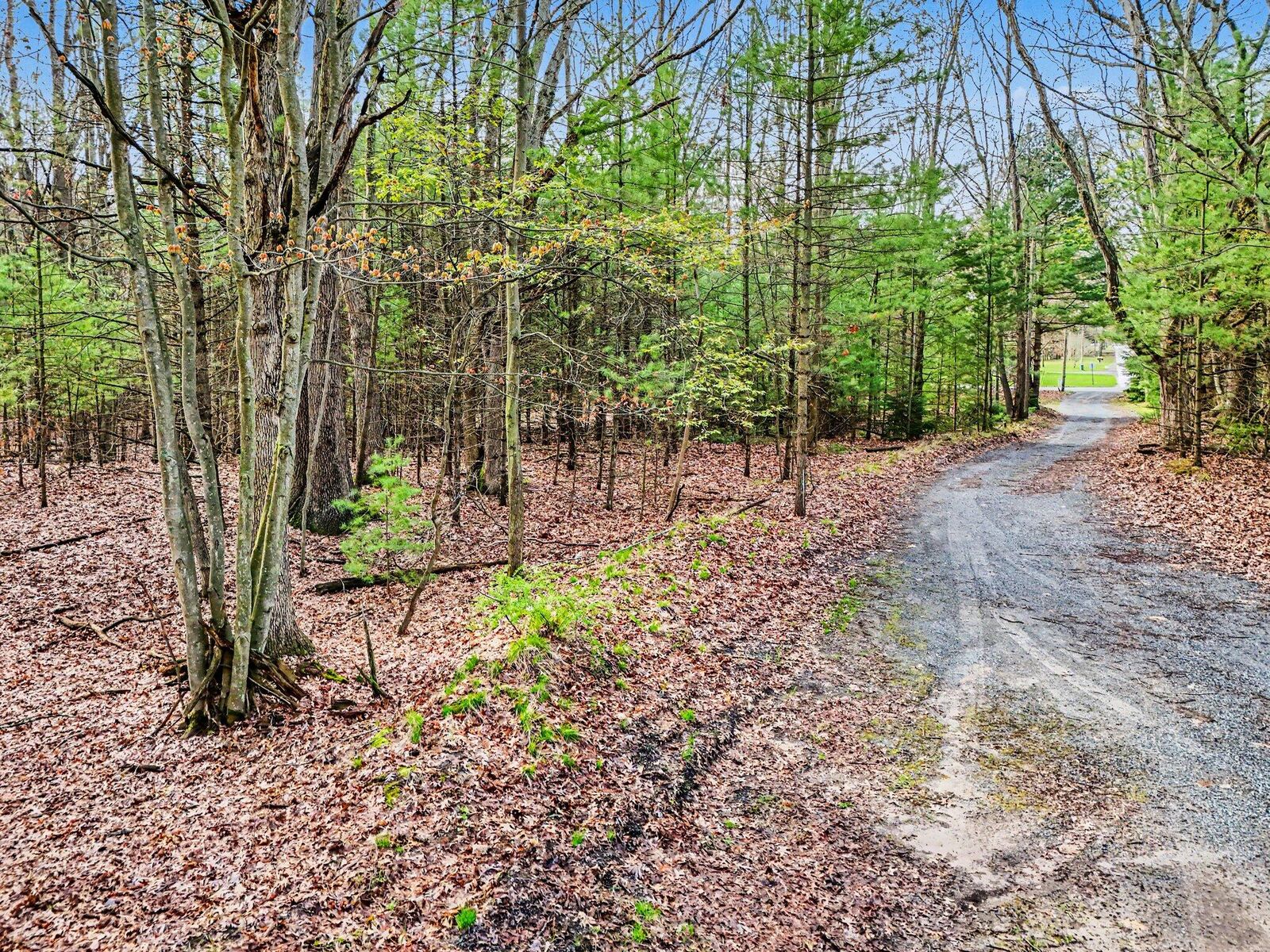 Property Photo:  Parcel B E Sands Street  MI 49449 