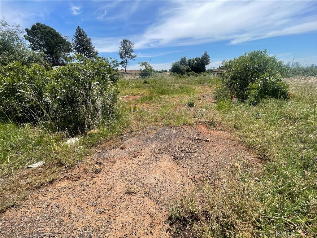 Property Photo:  4624 Skyway  CA 95969 