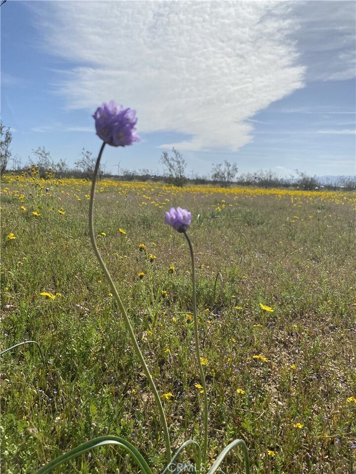 Property Photo:  0 Vacant Land  CA 93501 