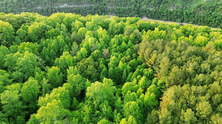 Property Photo:  0 Allen Bend Rd  TN 37166 