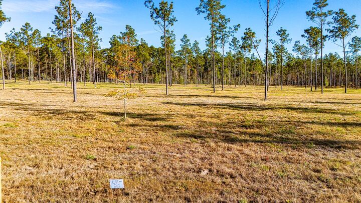 Property Photo:  Lot 20 Big Buck Drive  TX 75960 