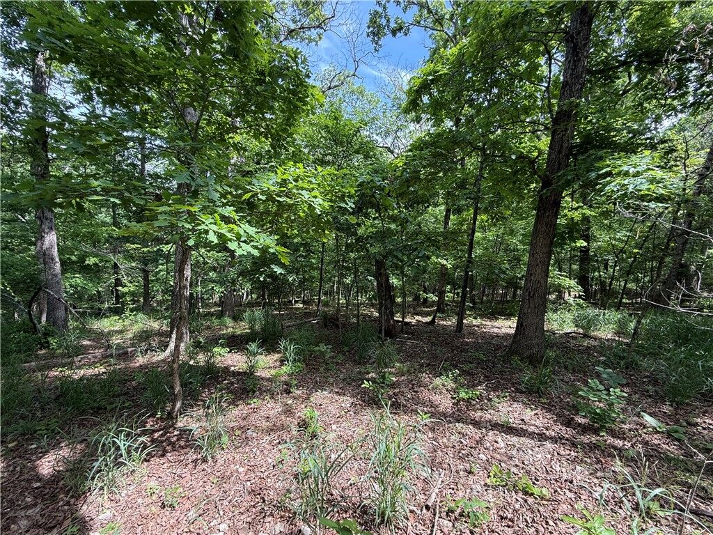 Property Photo:  Tbd Cr 206  AR 72632 