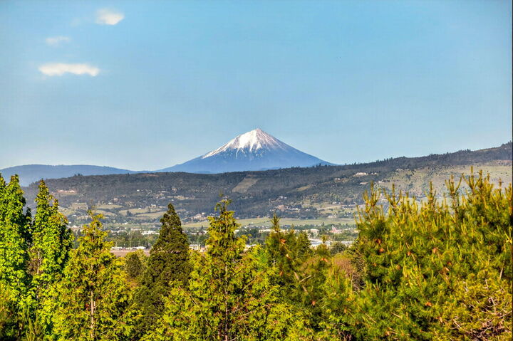 Property Photo:  2244 Hillside Drive  OR 97502 