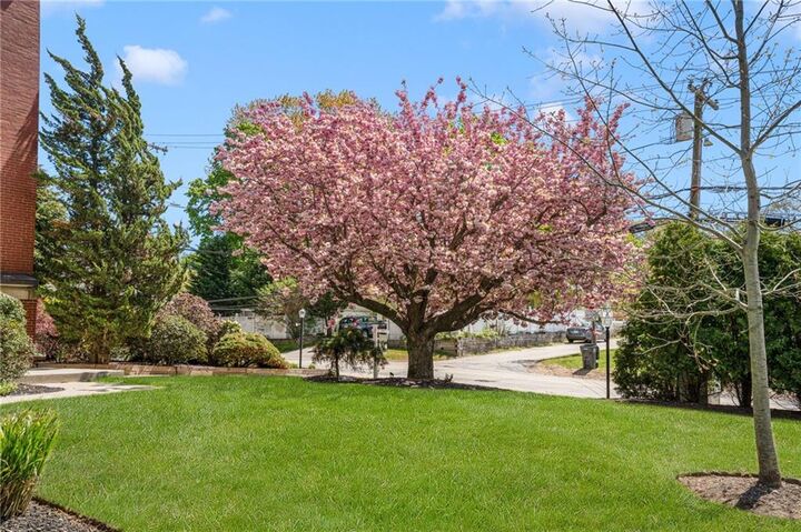 Property Photo: 15 Curtis Street 104 RI 02920