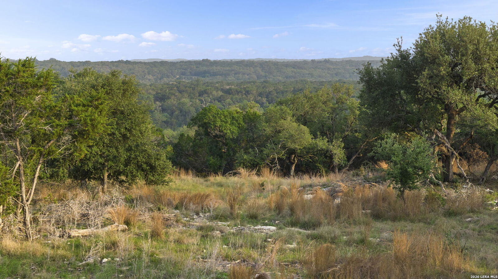 Property Photo:  Lot 11 Vaquero Pass  TX 78006 