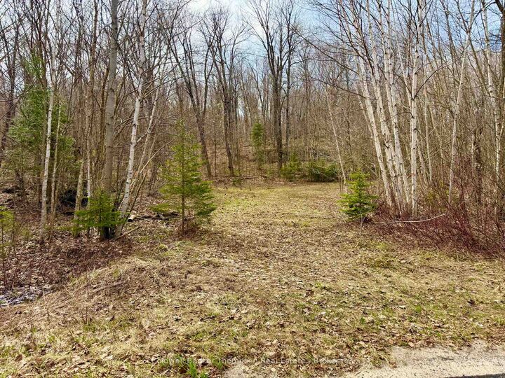 0-A Maple Drive S — photo 1