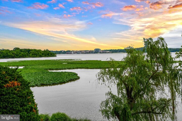 Property Photo:  1250 S Washington Street 121  VA 22314 