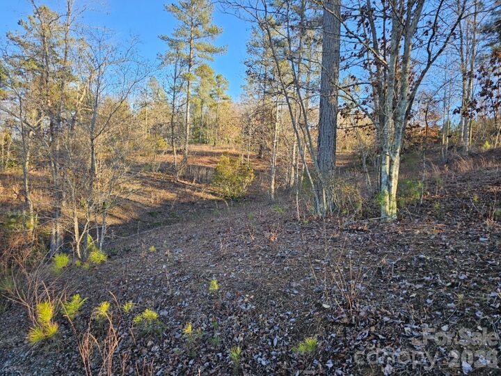 Property Photo:  2167 Inlet Shore Road NE  NC 28612 