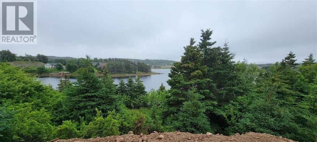 Property Photo:  13 King's Road  NL A0E 2M0 