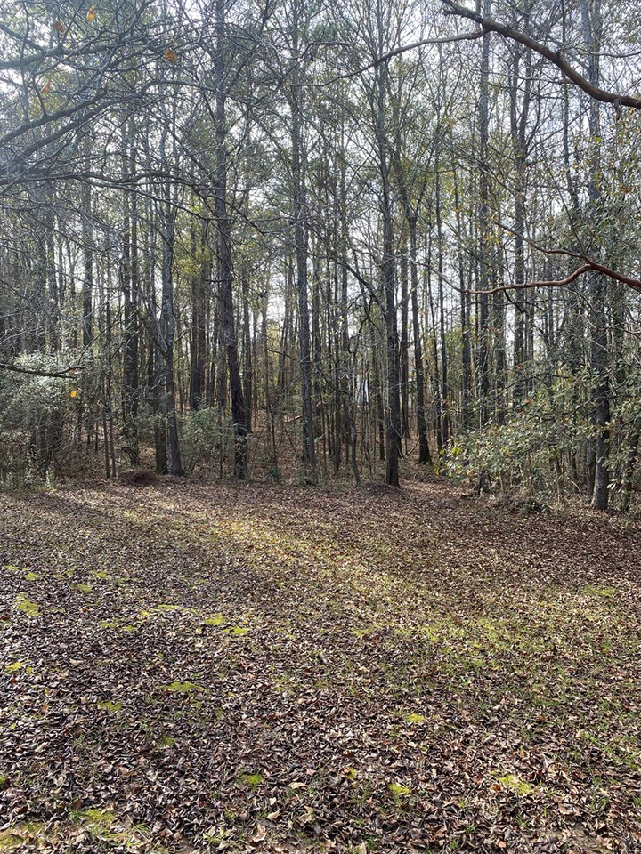 Property Photo: Lot 81 Woodland Drive GA 31804