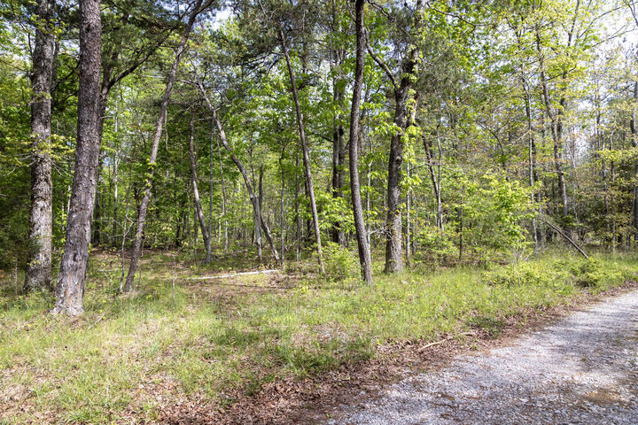 Property Photo:  000 Summers Home Lane  TN 37321 