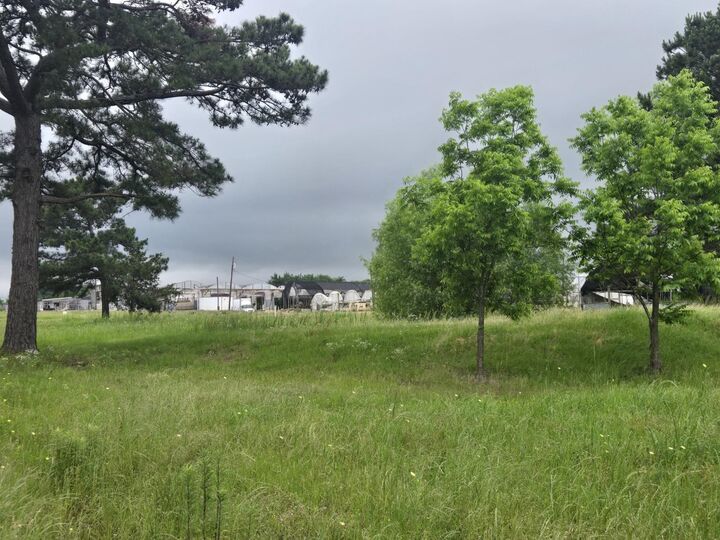 Property Photo: Tbd County Road 474 TX 75652