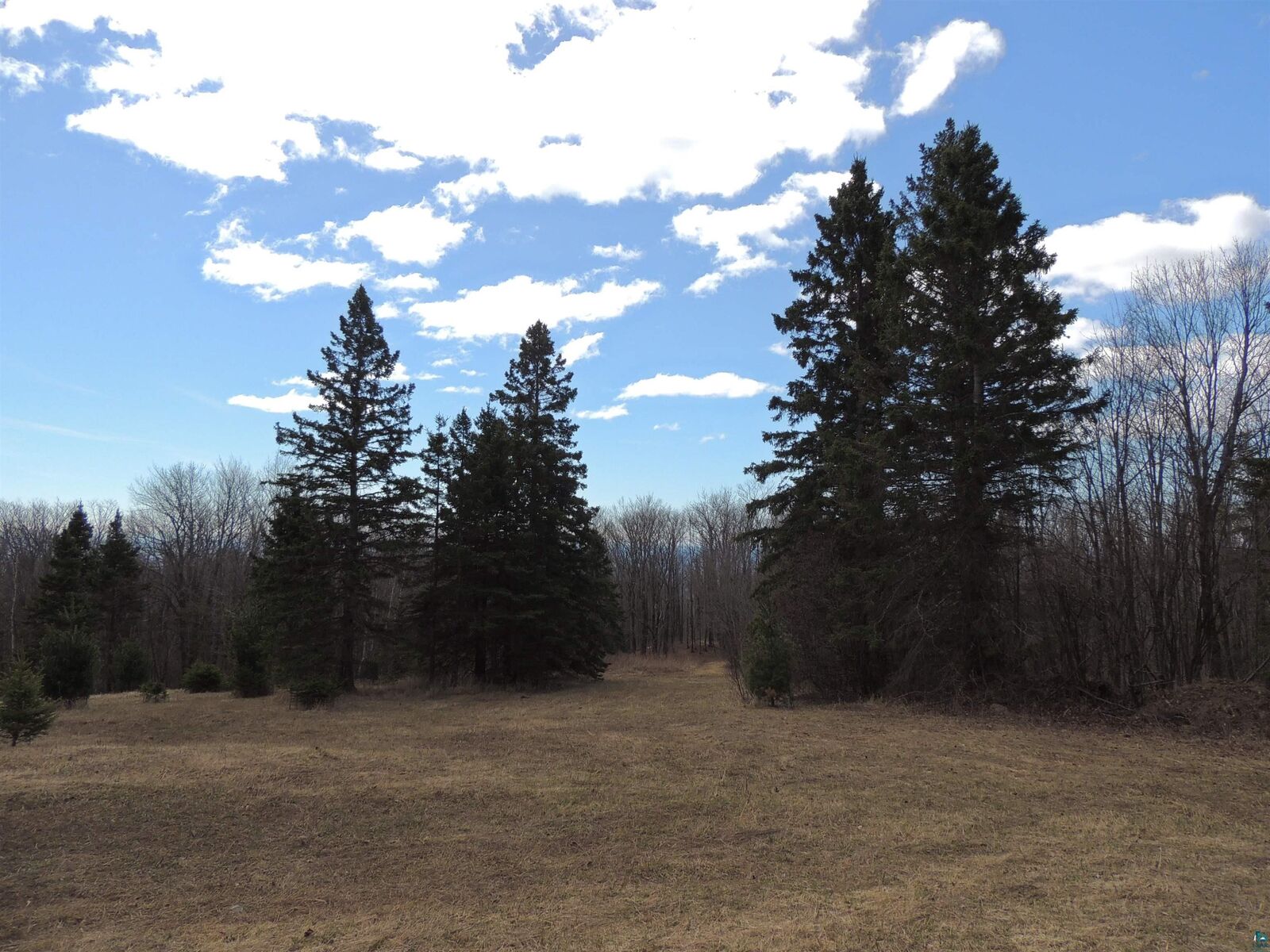 Property Photo:  Xxx Springdale Rd  MN 55615 