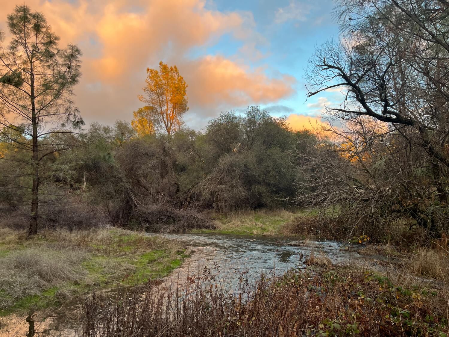 Property Photo:  20229 Troost Trail  CA 95960 