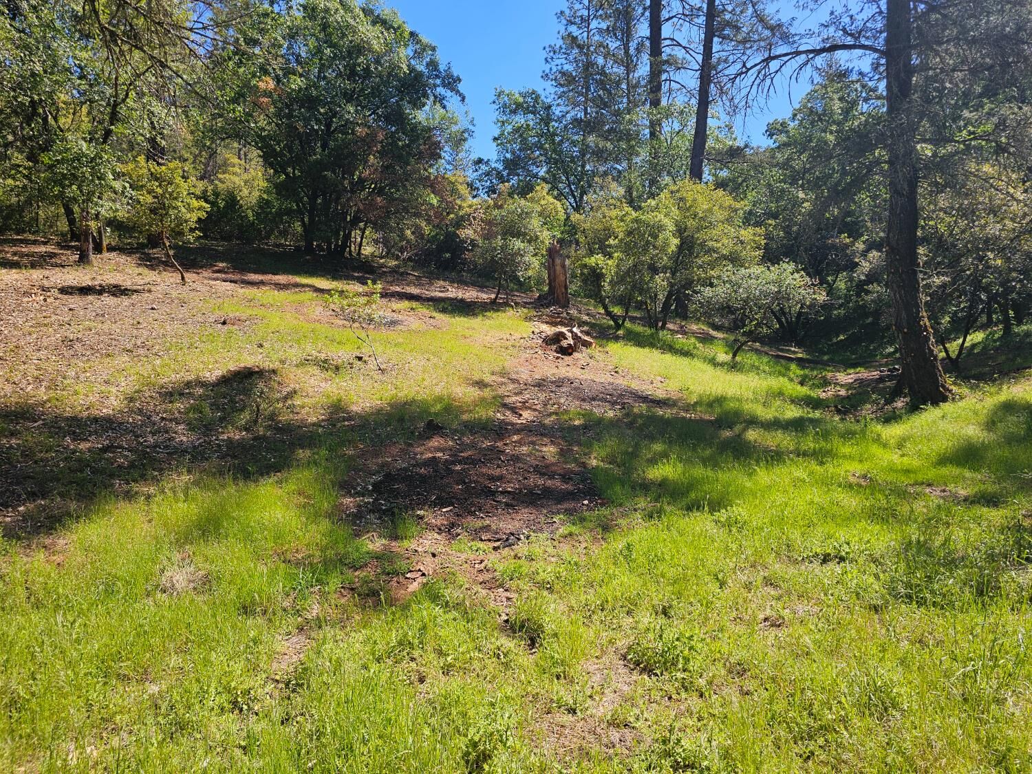 Property Photo: 19730 Wedemeyer Place CA 95713