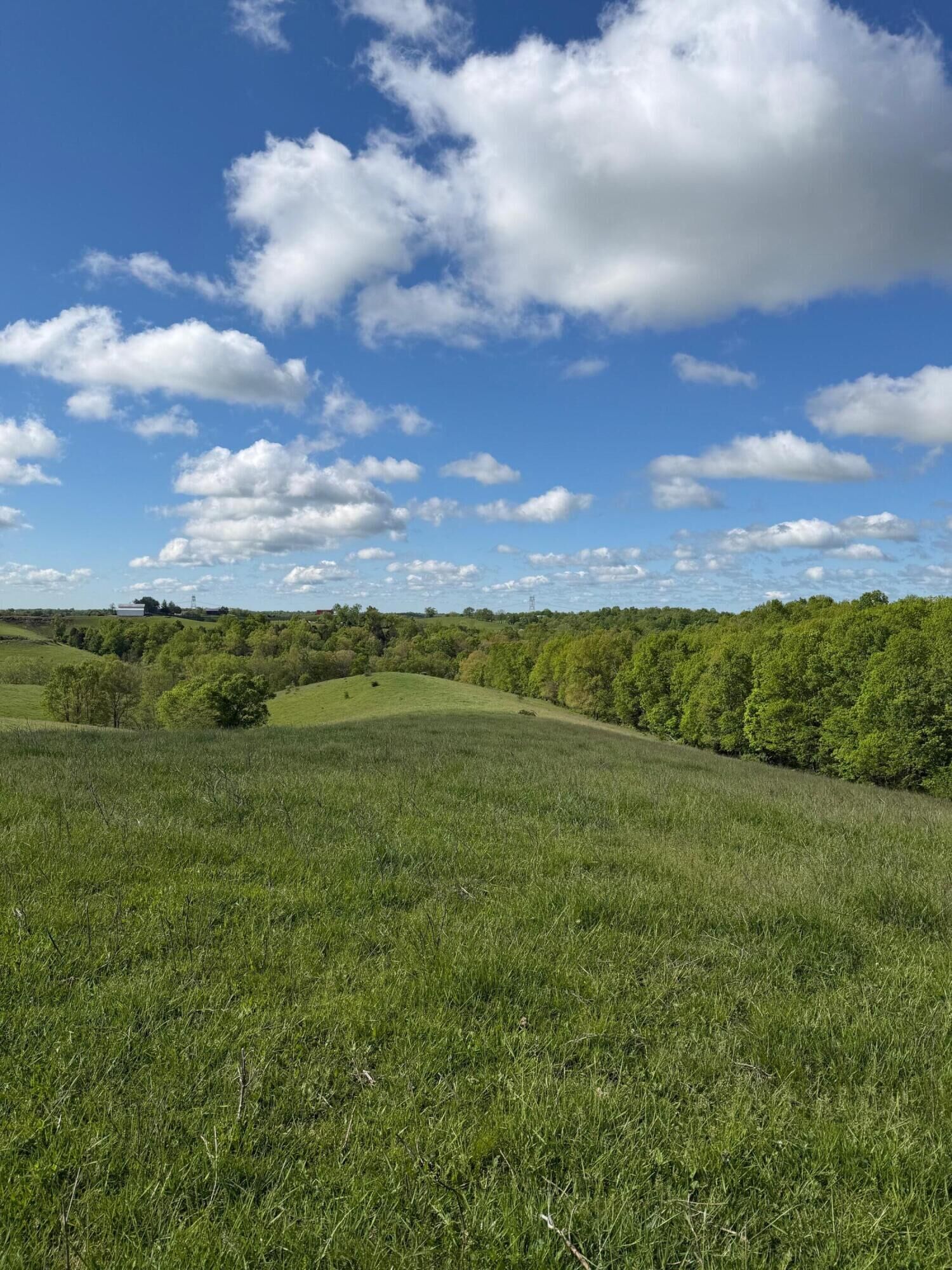 Property Photo:  14.17 Ac Chipman Ridge Road  KY 41097 