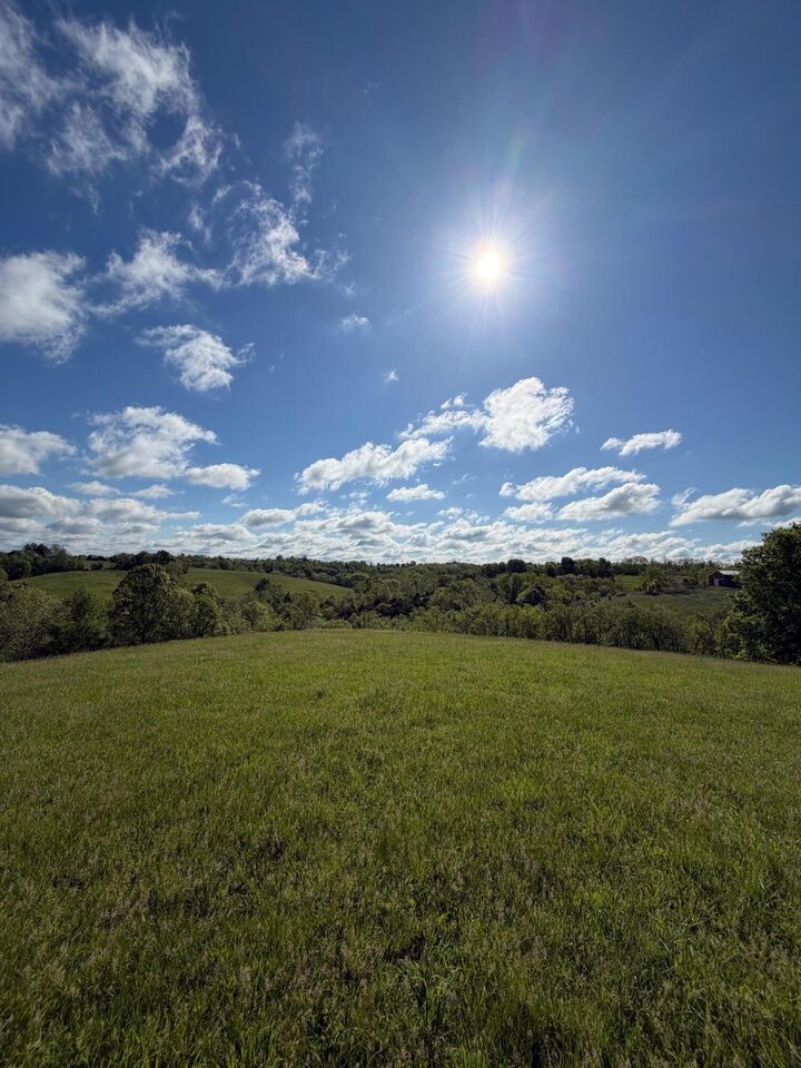 Property Photo:  32.28 Ac Chipman Ridge Road  KY 41097 