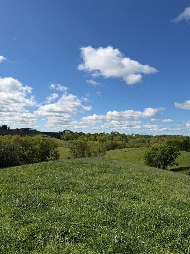 Property Photo:  6.93 Ac Chipman Ridge Road  KY 41097 