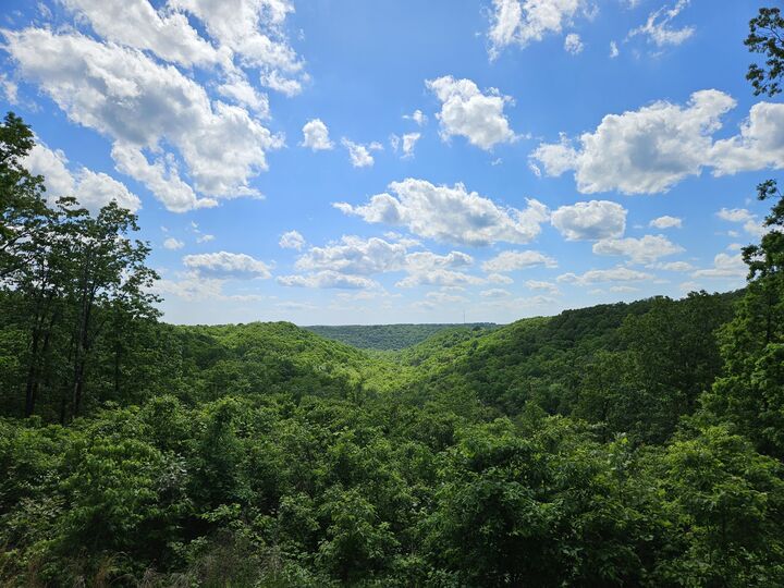 Property Photo: 2489 Logan Ridge Road MO 65721