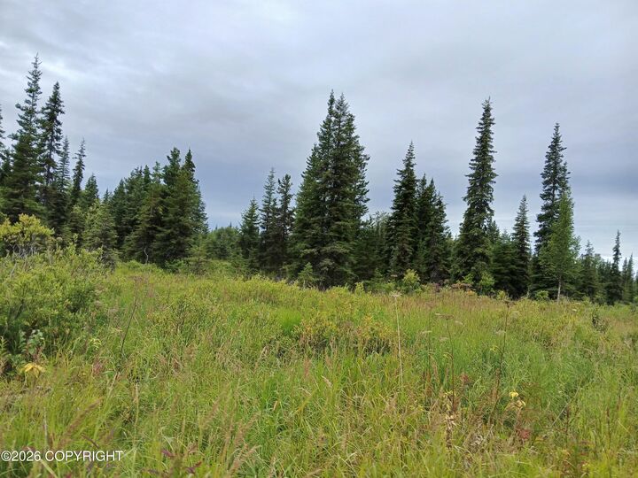 Property Photo:  L17 Marik Street  AK 99556 