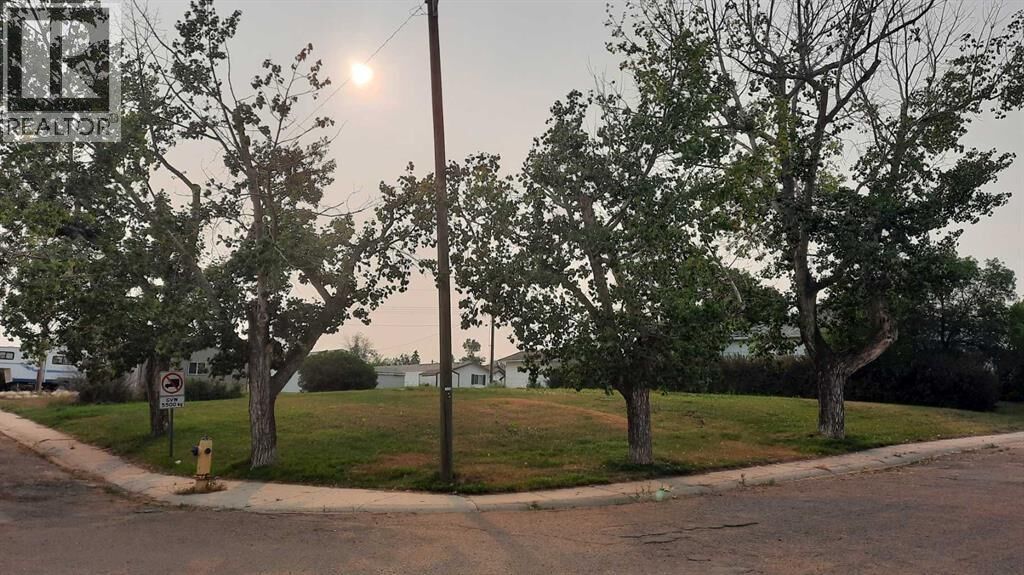 Property Photo:  114 Railway Avenue South  AB T0J 2B0 