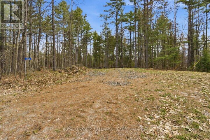 Property Photo:  265 Addington Road 4  ON K0H 1K0 