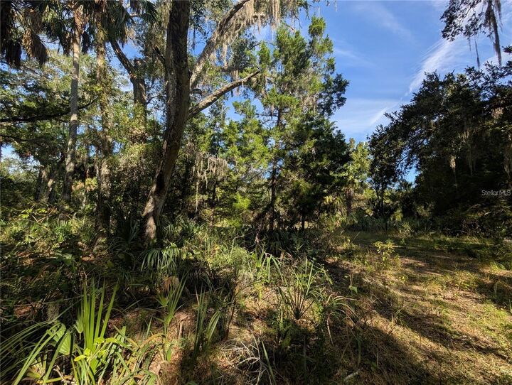 Property Photo:  11009 N Withla Bluff Point  FL 34449 