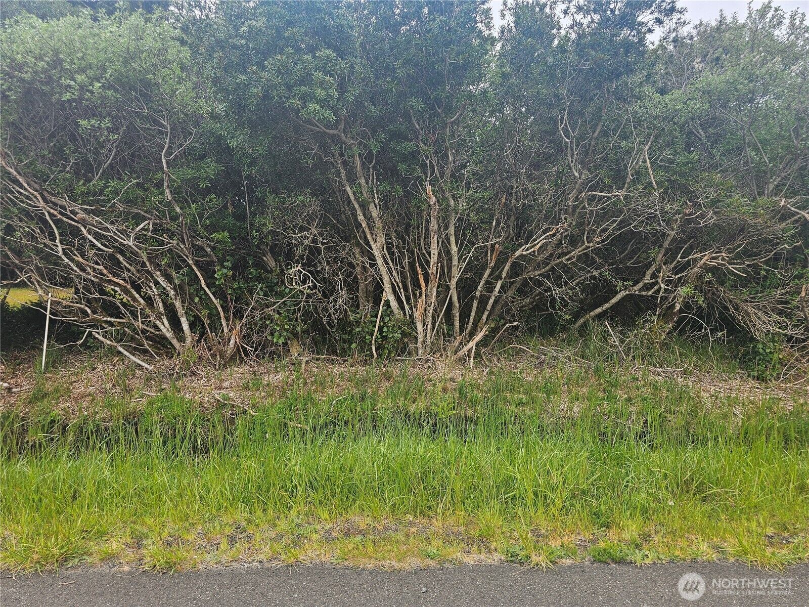 Property Photo:  1051  Fariwood Drive SW  WA 98569 